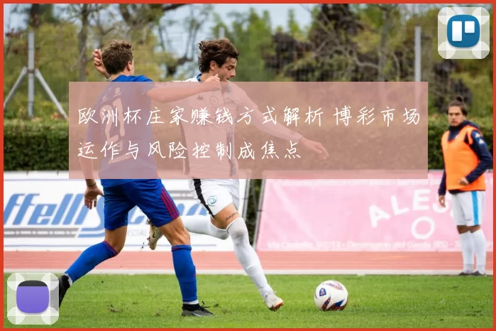 欧洲杯庄家赚钱方式解析 博彩市场运作与风险控制成焦点