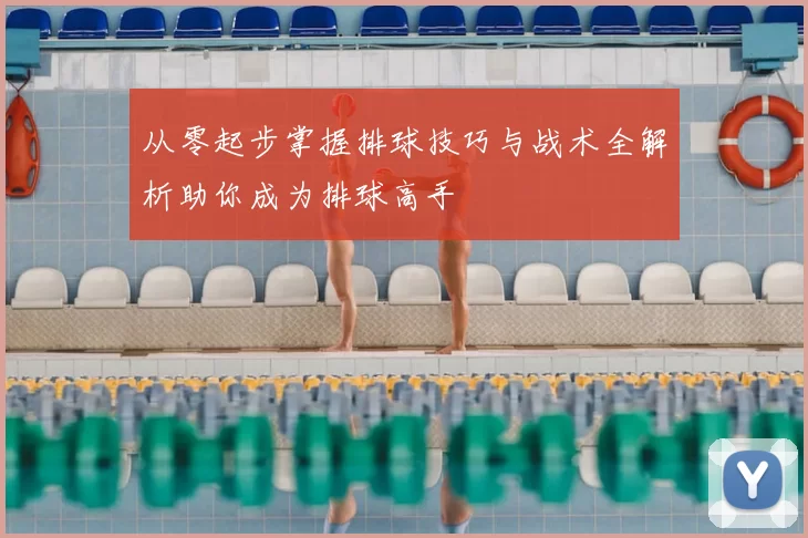 从零起步掌握排球技巧与战术全解析助你成为排球高手