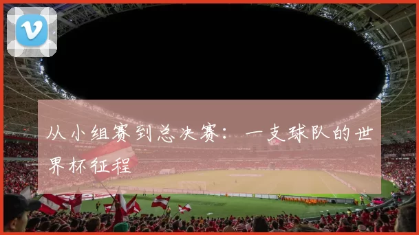 从小组赛到总决赛：一支球队的世界杯征程
