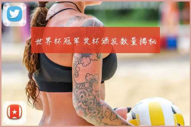 世界杯冠军奖杯颁发数量揭秘