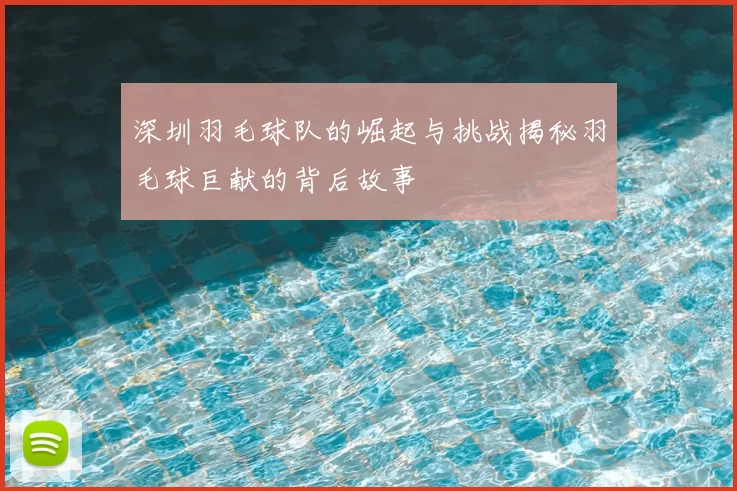 深圳羽毛球队的崛起与挑战揭秘羽毛球巨献的背后故事