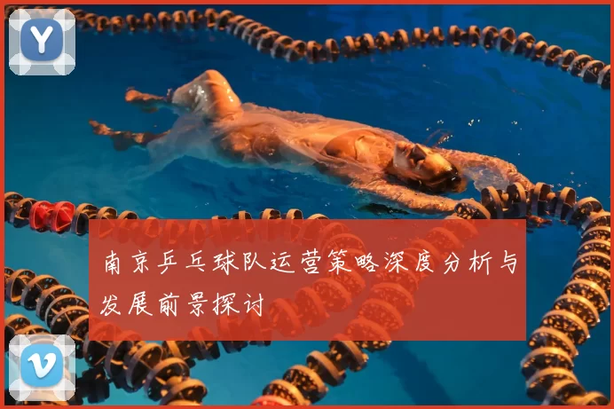 南京乒乓球队运营策略深度分析与发展前景探讨
