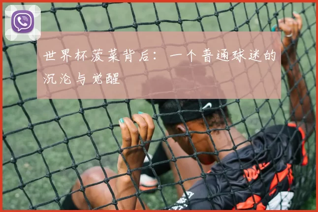 世界杯菠菜背后：一个普通球迷的沉沦与觉醒
