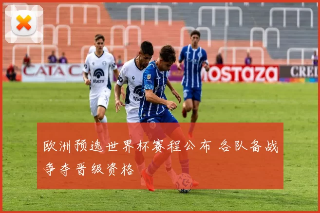 欧洲预选世界杯赛程公布 各队备战争夺晋级资格