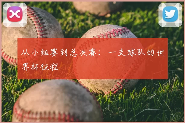 从小组赛到总决赛：一支球队的世界杯征程