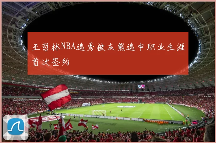 王哲林NBA选秀被灰熊选中职业生涯首次签约