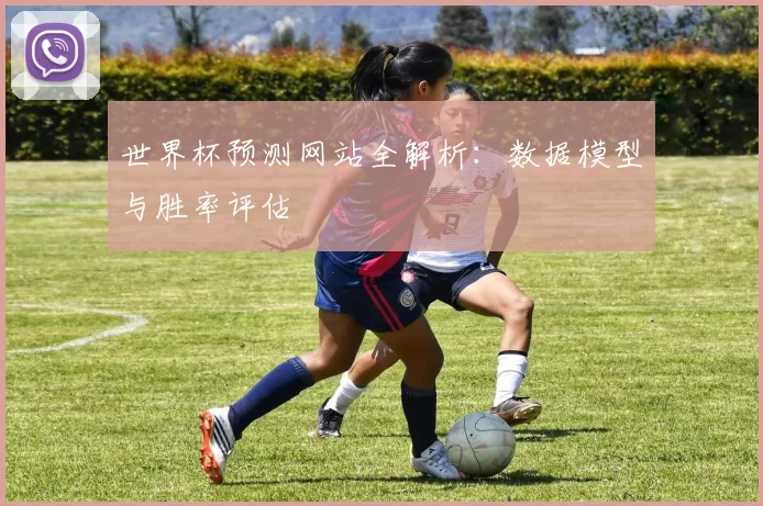 世界杯预测网站全解析：数据模型与胜率评估