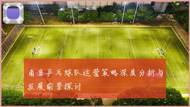 南京乒乓球队运营策略深度分析与发展前景探讨
